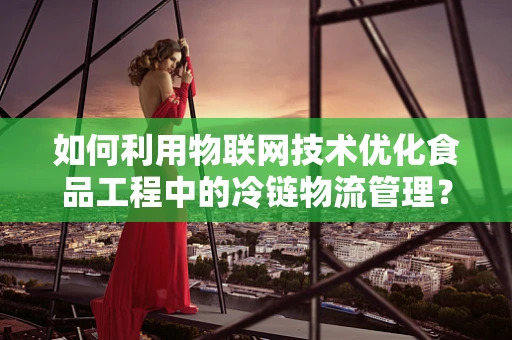 如何利用物联网技术优化食品工程中的冷链物流管理？