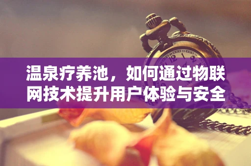 温泉疗养池，如何通过物联网技术提升用户体验与安全？