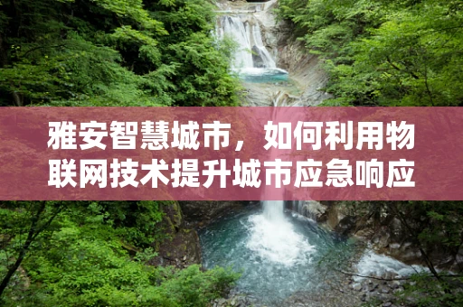 雅安智慧城市，如何利用物联网技术提升城市应急响应能力？
