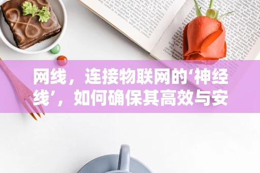 网线，连接物联网的‘神经线’，如何确保其高效与安全？