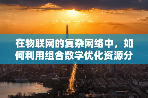 在物联网的复杂网络中，如何利用组合数学优化资源分配？