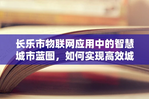 长乐市物联网应用中的智慧城市蓝图，如何实现高效城市管理？