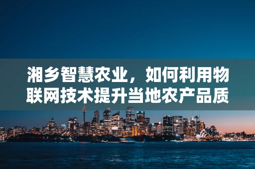 湘乡智慧农业，如何利用物联网技术提升当地农产品质量与产量？