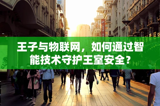 王子与物联网，如何通过智能技术守护王室安全？