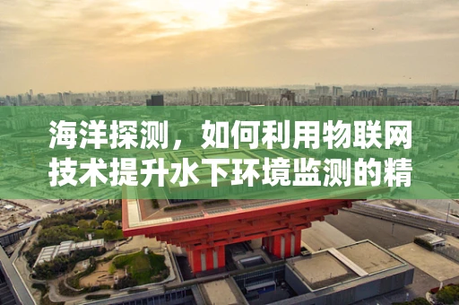 海洋探测，如何利用物联网技术提升水下环境监测的精准度？