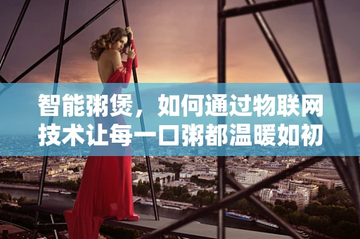 智能粥煲，如何通过物联网技术让每一口粥都温暖如初？