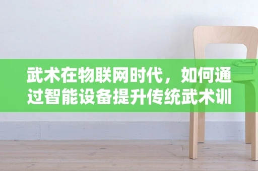 武术在物联网时代，如何通过智能设备提升传统武术训练的效率与安全性？