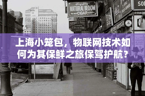 上海小笼包，物联网技术如何为其保鲜之旅保驾护航？