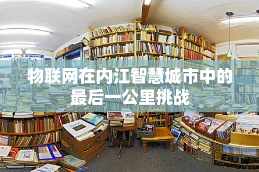 物联网在内江智慧城市中的最后一公里挑战