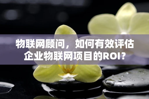 物联网顾问，如何有效评估企业物联网项目的ROI？