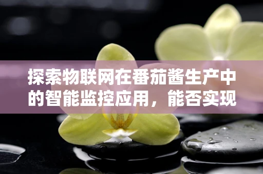 探索物联网在番茄酱生产中的智能监控应用，能否实现从农场到餐桌的全程透明？
