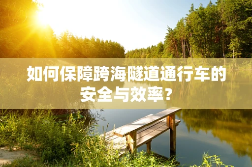 如何保障跨海隧道通行车的安全与效率？