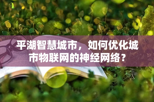 平湖智慧城市，如何优化城市物联网的神经网络？