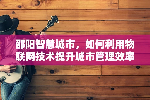邵阳智慧城市，如何利用物联网技术提升城市管理效率？