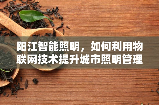 阳江智能照明，如何利用物联网技术提升城市照明管理效率？