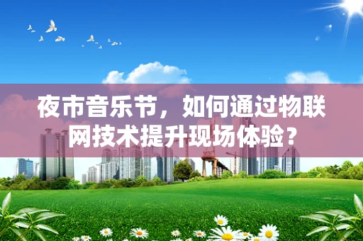 夜市音乐节，如何通过物联网技术提升现场体验？
