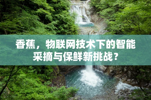 香蕉，物联网技术下的智能采摘与保鲜新挑战？