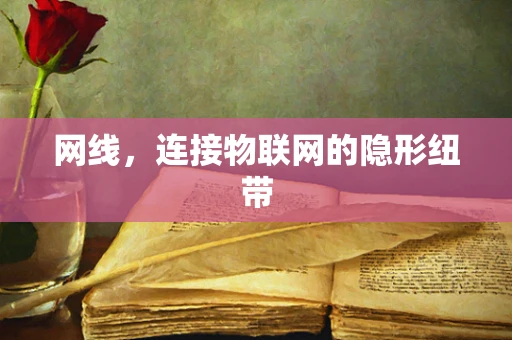 网线，连接物联网的隐形纽带