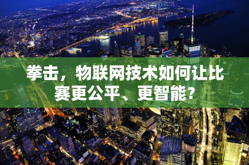 拳击，物联网技术如何让比赛更公平、更智能？