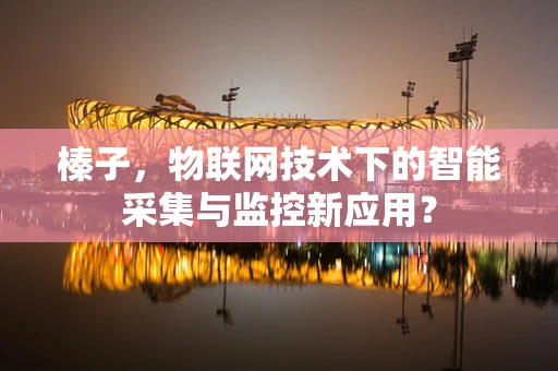 榛子，物联网技术下的智能采集与监控新应用？