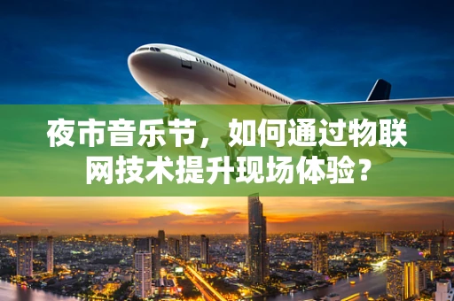 夜市音乐节，如何通过物联网技术提升现场体验？