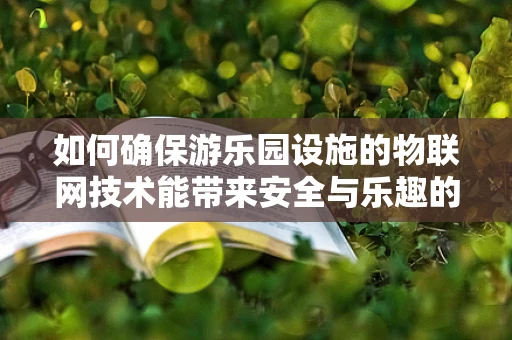 如何确保游乐园设施的物联网技术能带来安全与乐趣的双重保障？