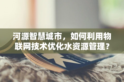 河源智慧城市，如何利用物联网技术优化水资源管理？