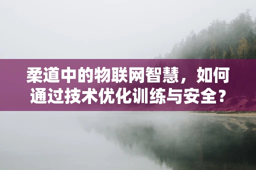 柔道中的物联网智慧，如何通过技术优化训练与安全？