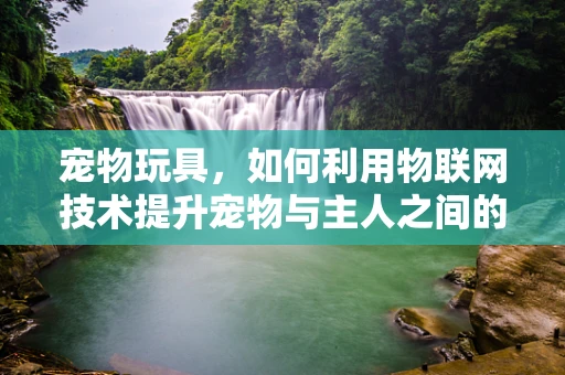 宠物玩具，如何利用物联网技术提升宠物与主人之间的互动体验？