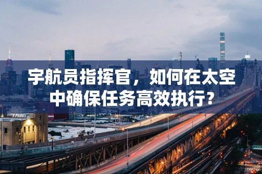 宇航员指挥官，如何在太空中确保任务高效执行？