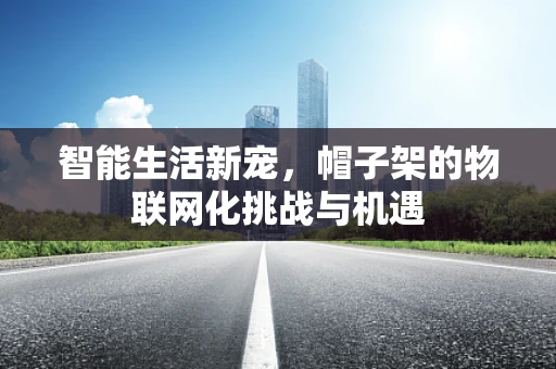 智能生活新宠，帽子架的物联网化挑战与机遇