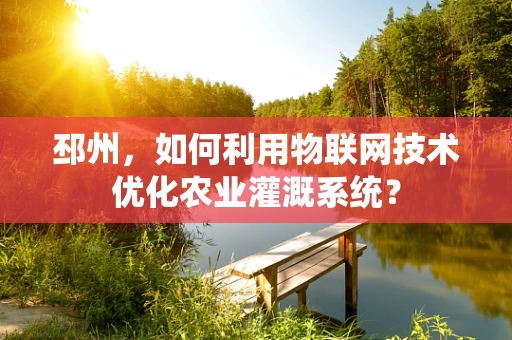 邳州，如何利用物联网技术优化农业灌溉系统？
