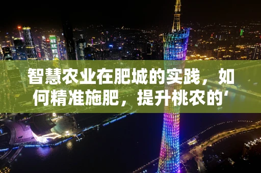 智慧农业在肥城的实践，如何精准施肥，提升桃农的‘甜蜜’收获？