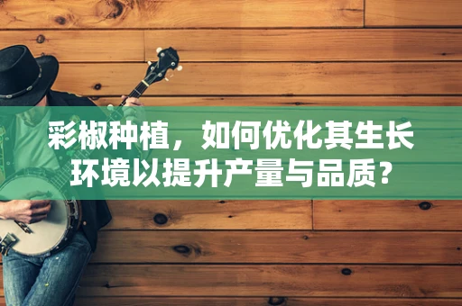 彩椒种植，如何优化其生长环境以提升产量与品质？