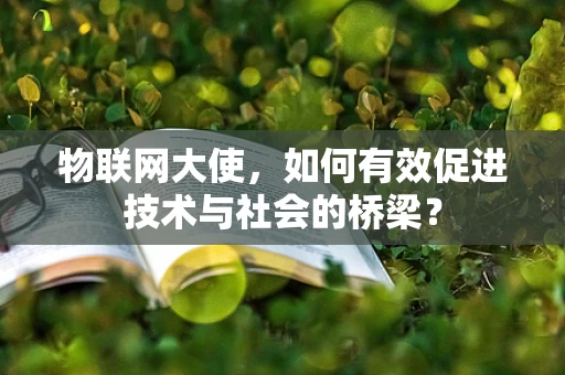 物联网大使，如何有效促进技术与社会的桥梁？