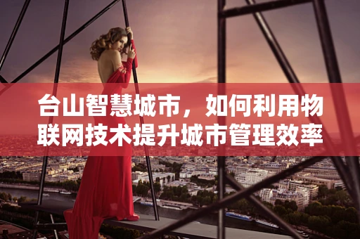 台山智慧城市，如何利用物联网技术提升城市管理效率？