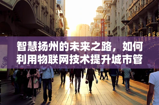 智慧扬州的未来之路，如何利用物联网技术提升城市管理效率？