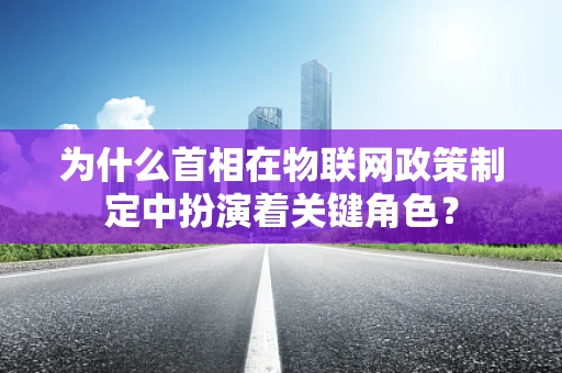为什么首相在物联网政策制定中扮演着关键角色？