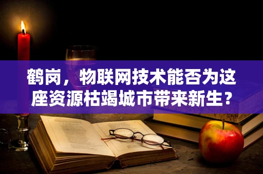 鹤岗，物联网技术能否为这座资源枯竭城市带来新生？