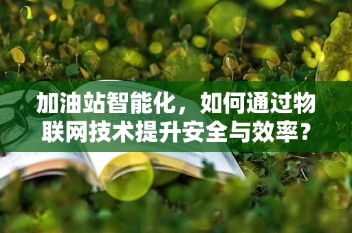加油站智能化，如何通过物联网技术提升安全与效率？