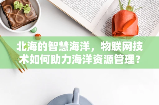 北海的智慧海洋，物联网技术如何助力海洋资源管理？