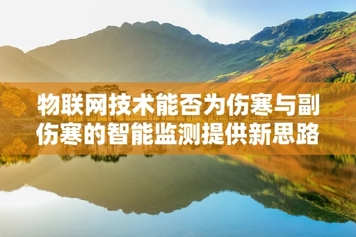 物联网技术能否为伤寒与副伤寒的智能监测提供新思路？