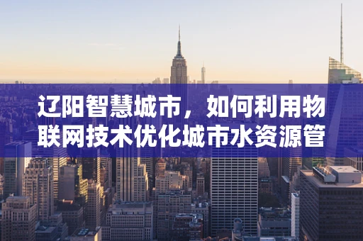 辽阳智慧城市，如何利用物联网技术优化城市水资源管理？