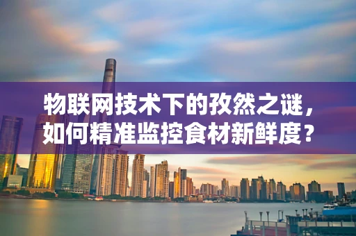 物联网技术下的孜然之谜，如何精准监控食材新鲜度？
