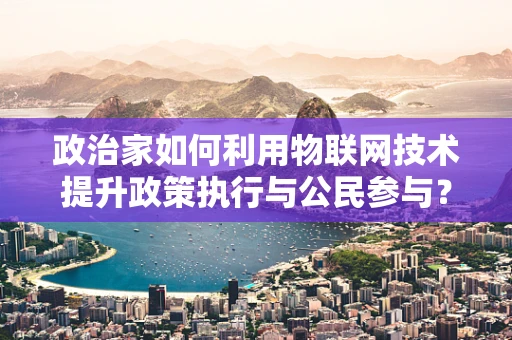 政治家如何利用物联网技术提升政策执行与公民参与？