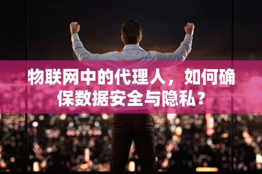 物联网中的代理人，如何确保数据安全与隐私？