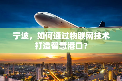 宁波，如何通过物联网技术打造智慧港口？