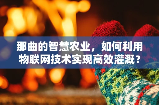 那曲的智慧农业，如何利用物联网技术实现高效灌溉？