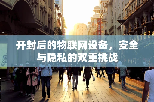 开封后的物联网设备，安全与隐私的双重挑战