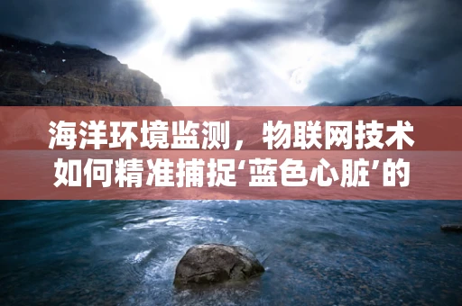 海洋环境监测，物联网技术如何精准捕捉‘蓝色心脏’的脉动？